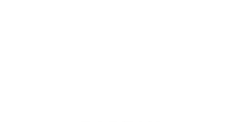 Vinos Cattani 